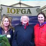 Michael D Higgins