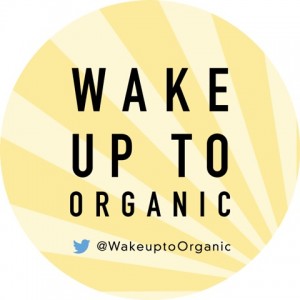 Wake UP logo
