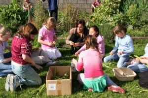 Students in the school garden